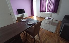 Sunny Apartment